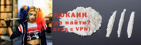 гидра Абаза