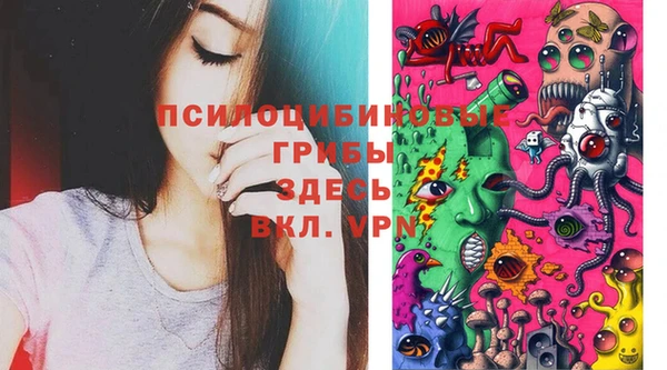 а пвп мука Гатчина