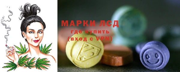 гидра Абаза