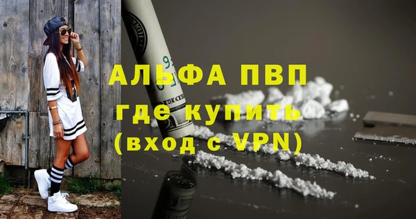 гидра Абаза