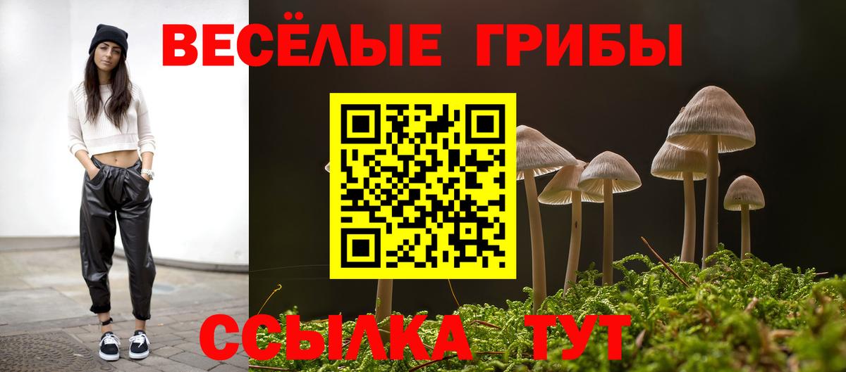 сколько стоит  Вход с VPN  Ивантеевка  Галлюциногенные грибы Cubensis  Псилоцибиновые грибы прущие грибы 