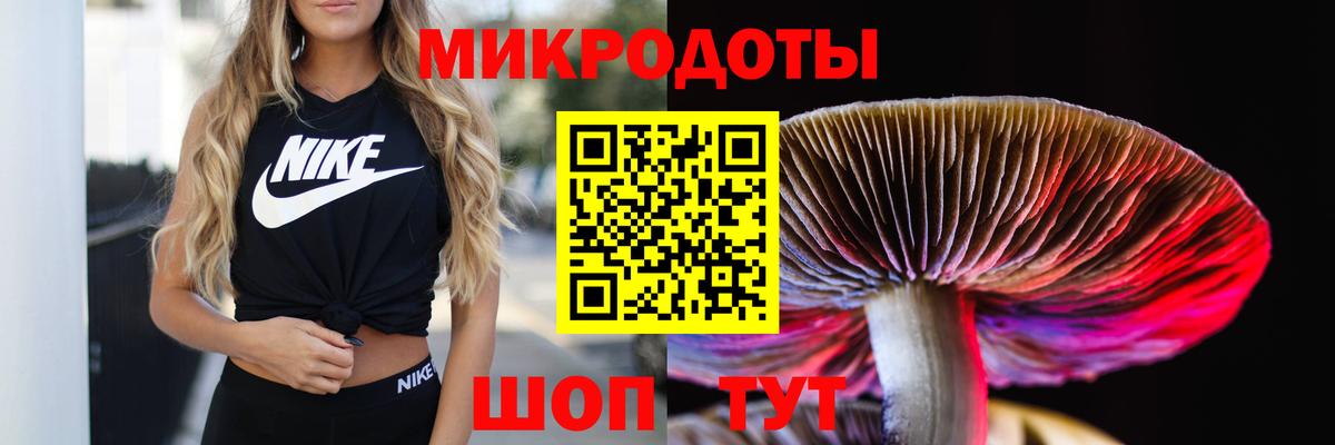 Псилоцибиновые грибы Psilocybine cubensis Ивантеевка