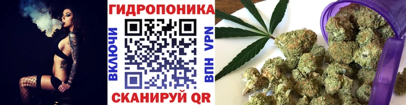 Бошки марихуана конопля  нарко площадка состав  Ивантеевка 